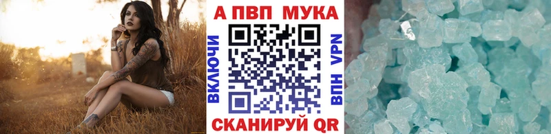 Alpha-PVP СК КРИС  как найти закладки  Заринск 
