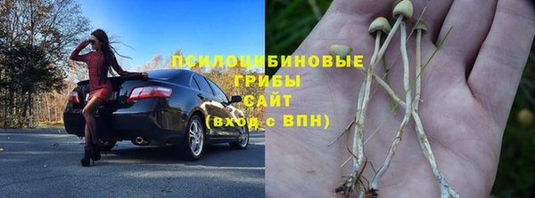 MDMA Premium VHQ Горнозаводск