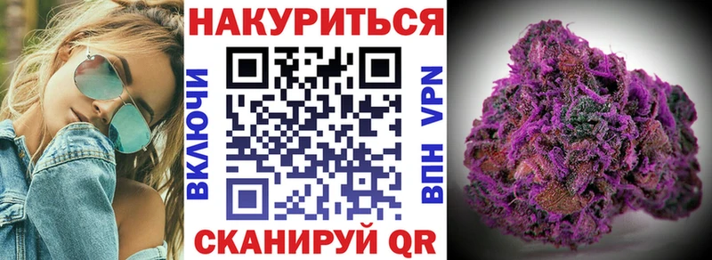 Каннабис гибрид  Заринск 