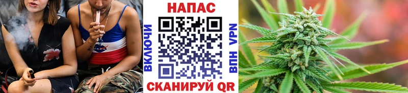 Конопля AK-47 Заринск